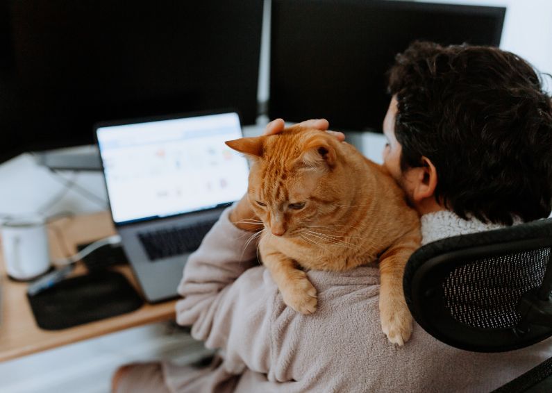 Human In Laptop Hug Cat Compressed, The Cat 24