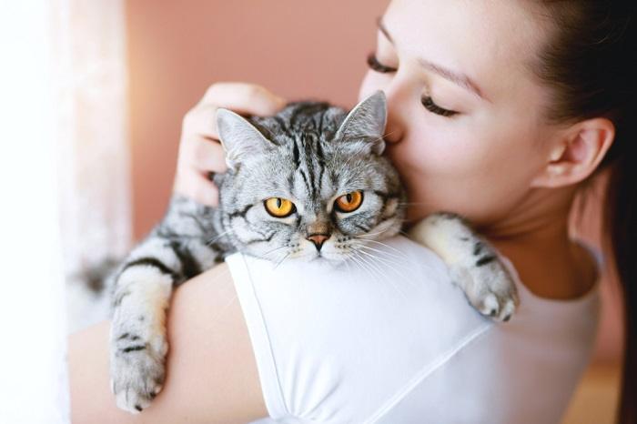 Cats may eat human hair as a sign of affection.
