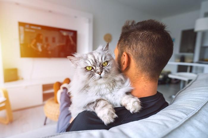 ¿Cat TV es bueno para los gatos?