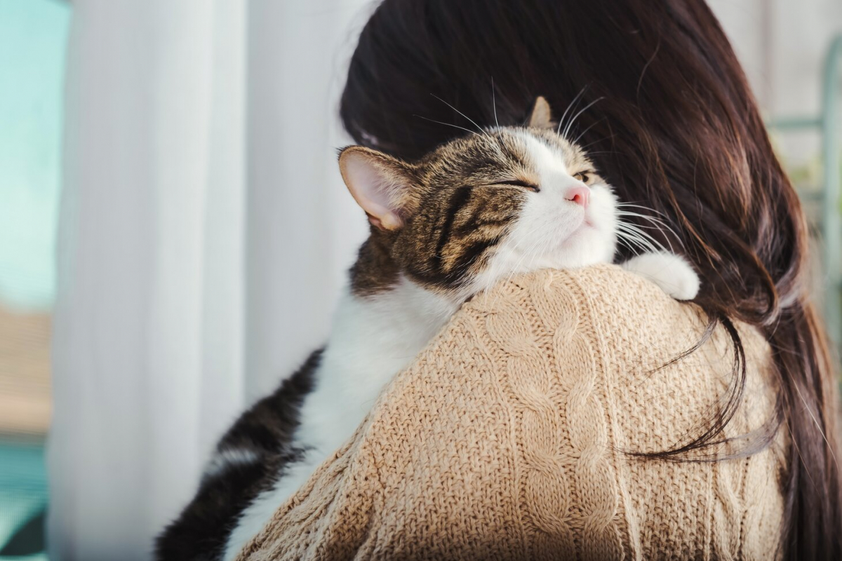 Are Cats Possessive Of Their Owners? 