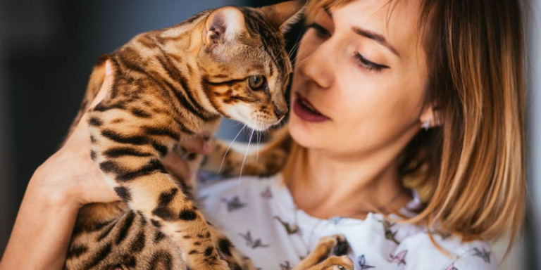How Much Attention Do Cats Need? A Vet Explains