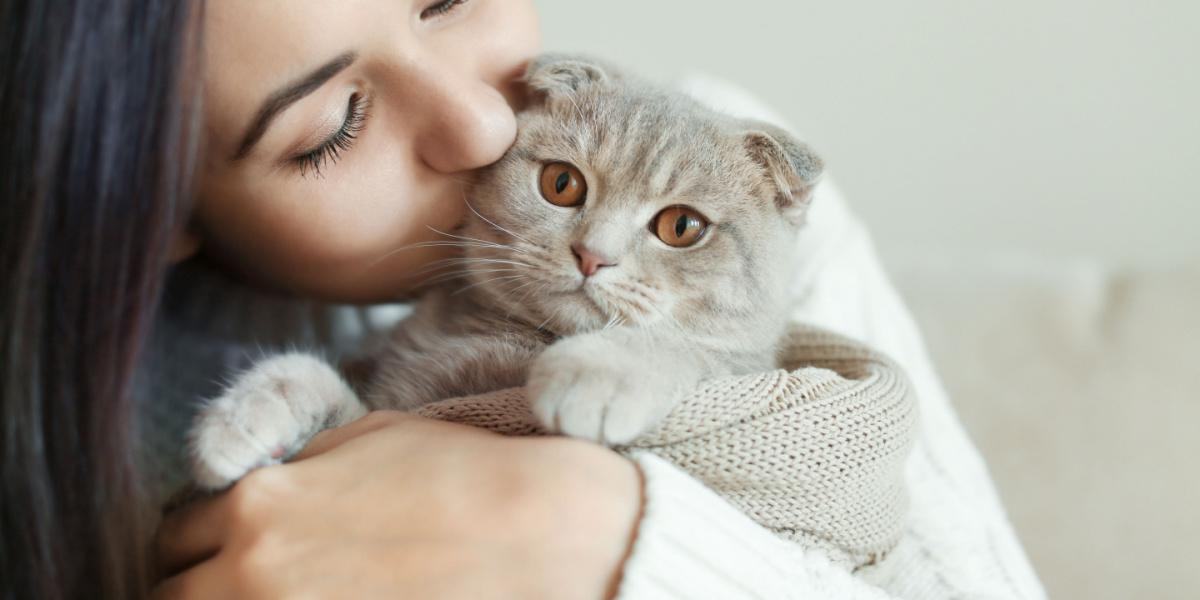 ¿A los gatos les gustan y entienden los besos?