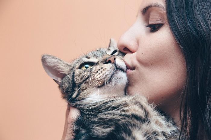 ¿A los gatos les gustan y entienden los besos?
